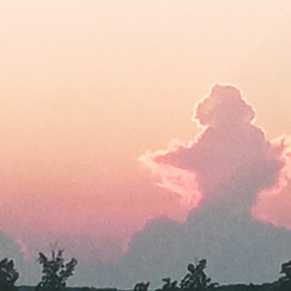 Meet your Posher, Mary - Picture 2 of 2